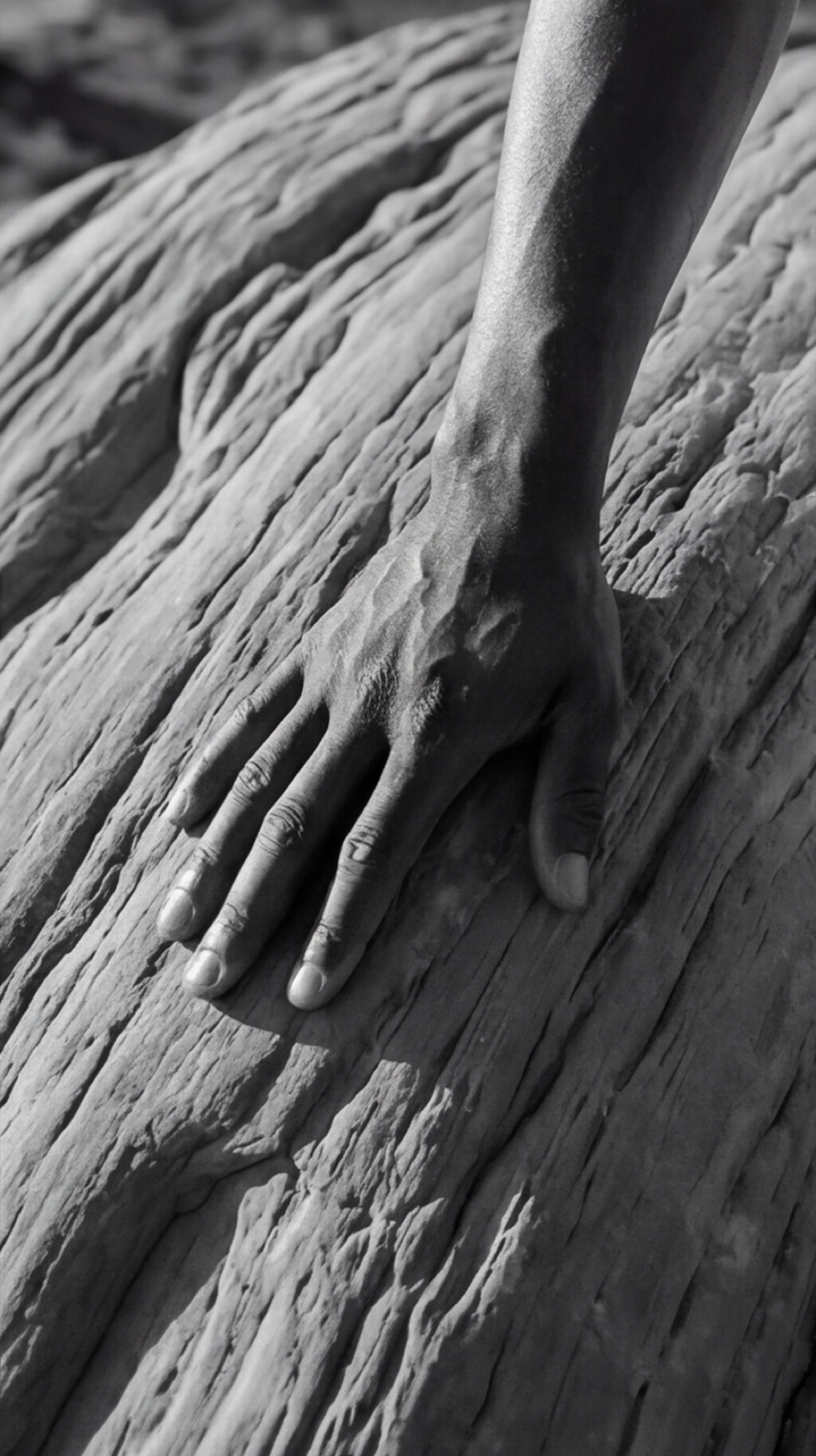 Macro detail, hand against weathered wood